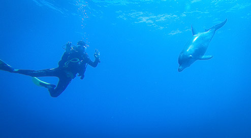 Marsa el Alam