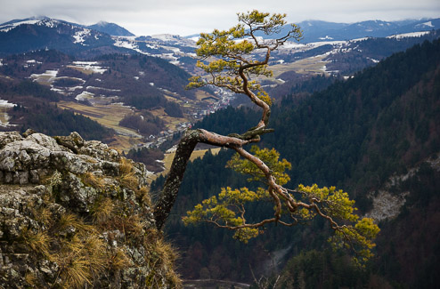 ﻿Pieniny

