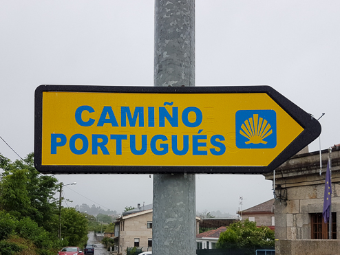 Camino de Santiago

